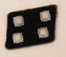 SS-SD Sturmbannführer's Collor Tab Set thumbnail