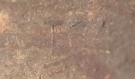 Heer M40 SD helmet Named  thumbnail