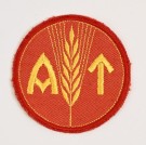 Norwegian Femail AT Arm Patch thumbnail