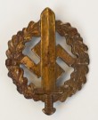 SA sports badge bronze thumbnail