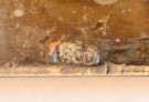 Iron Cross 1st Class 1914, 800 silver thumbnail