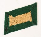 Sturmabteilung Collar tab for 45th Sturm of SA-Standarte 26 in Kurfalz thumbnail